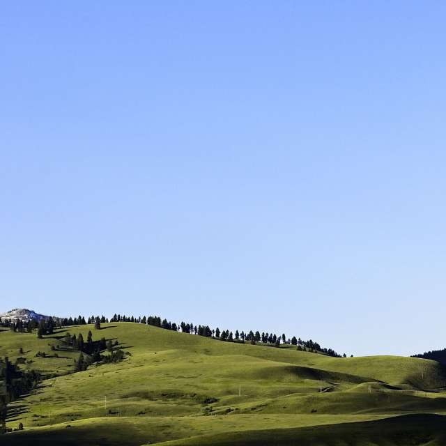 天气预报，带ThomasN精美的照片