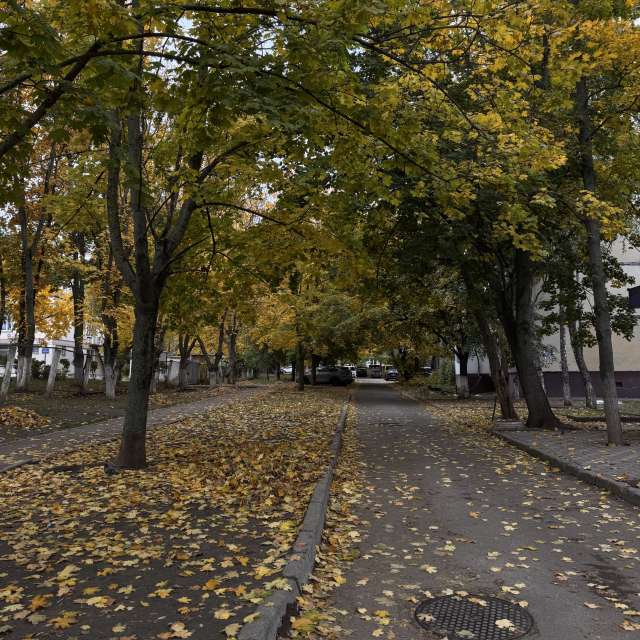 Prévisions météo avec de superbes photos de Sonia