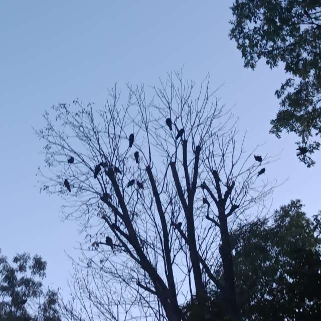 Fotos del Joven. Pronósticos del tiempo con hermosas fotos de YanBog en București