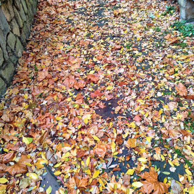 sloaraiの美しい写真による天気予報