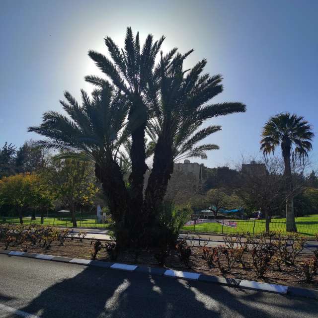 Pronósticos del tiempo con hermosas fotos de Yuval