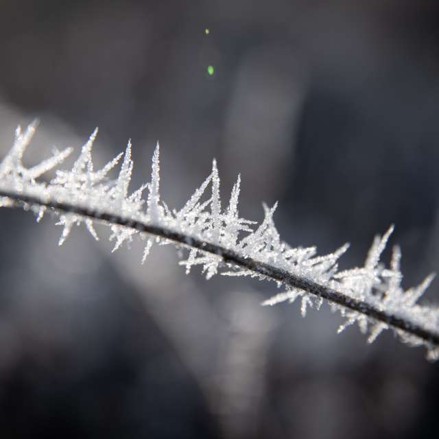 Weather forecasts with beautiful photos by RobertNagaj