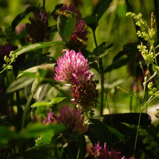 Lit. Weather forecasts with beautiful photos by Михаил Гавриков Photos in Kharkiv