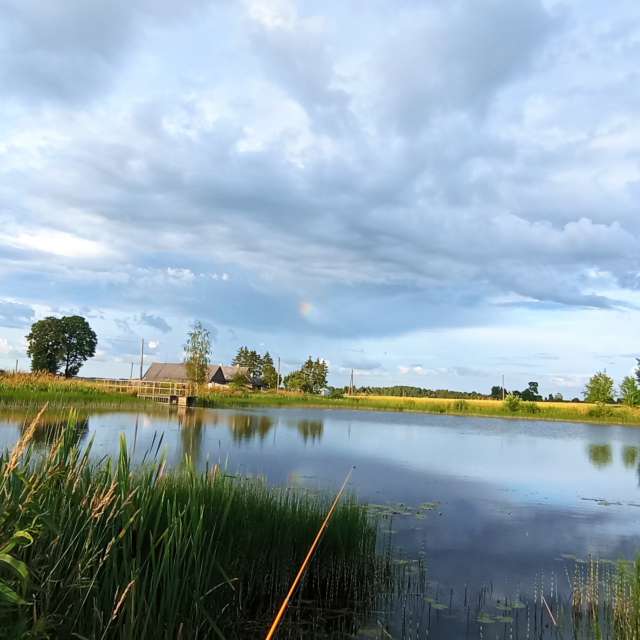 Overlooking. Weather forecasts with beautiful photos by Valiukas Photos in Lithuania