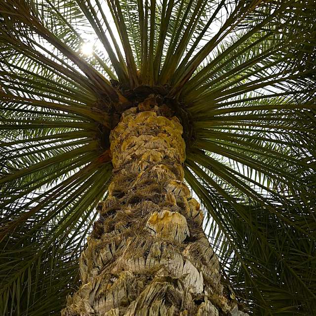 Pronósticos del tiempo con hermosas fotos de phantran