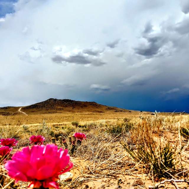 Previsões do tempo com lindas fotos de marvin616