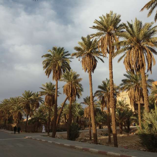 Photos Sablonneux. Prévisions météo avec de superbes photos de BELGHOUL-KADDA de Béchar
