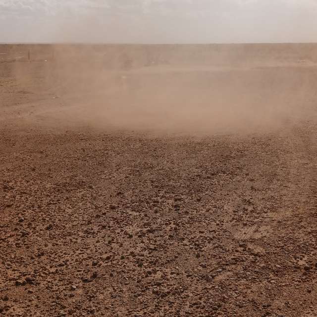 Photos Cheval. Prévisions météo avec de superbes photos de BELGHOUL-KADDA de Béchar