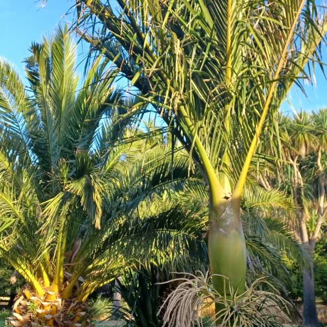 Прогнозы погоды с чудесными фотографиями, сделанными Hikey