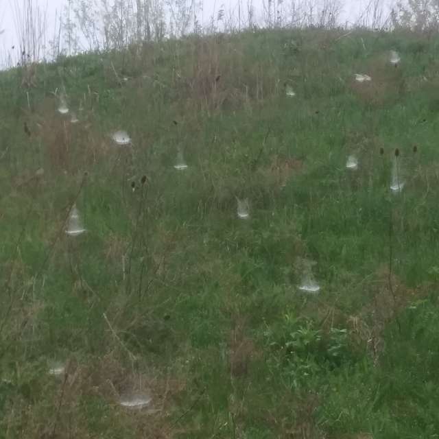天气预报，带LehCar精美的照片