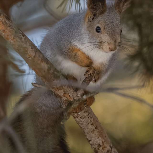 Фотографии Погоды в Мир. Прогнозы погоды с чудесными фотографиями, сделанными Nymph542