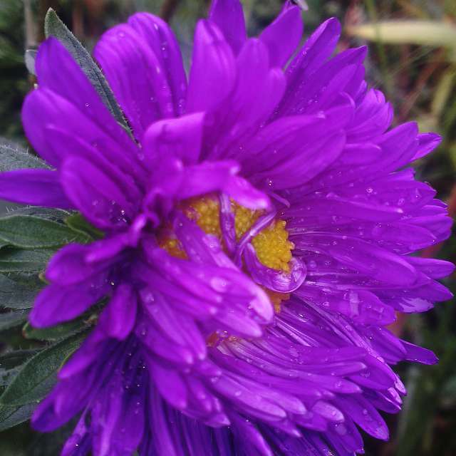 Weather Photos in World. Weather forecasts with beautiful photos by Olga_K