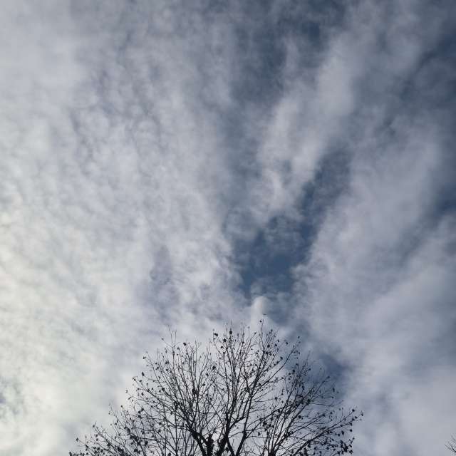 Pronósticos del tiempo con hermosas fotos de YanBog