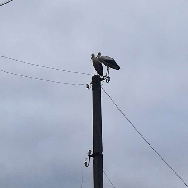 A sign. Weather forecasts with beautiful photos by urashm Photos in Khmelnytskyi