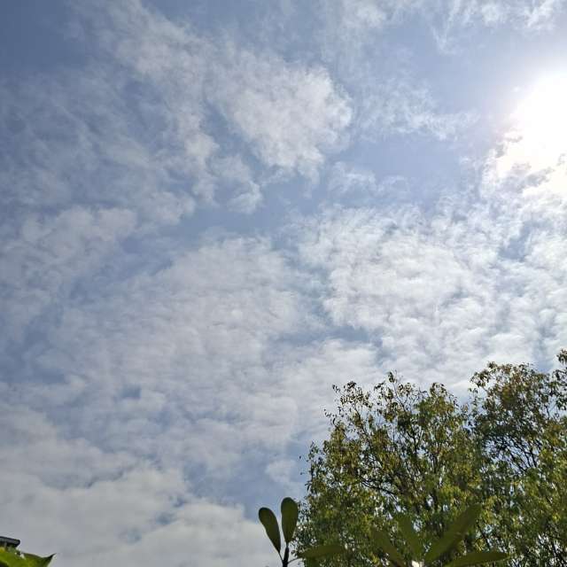 Photos Troupeau. Prévisions météo avec de superbes photos de Wen-ya Huang de Kaohsiung