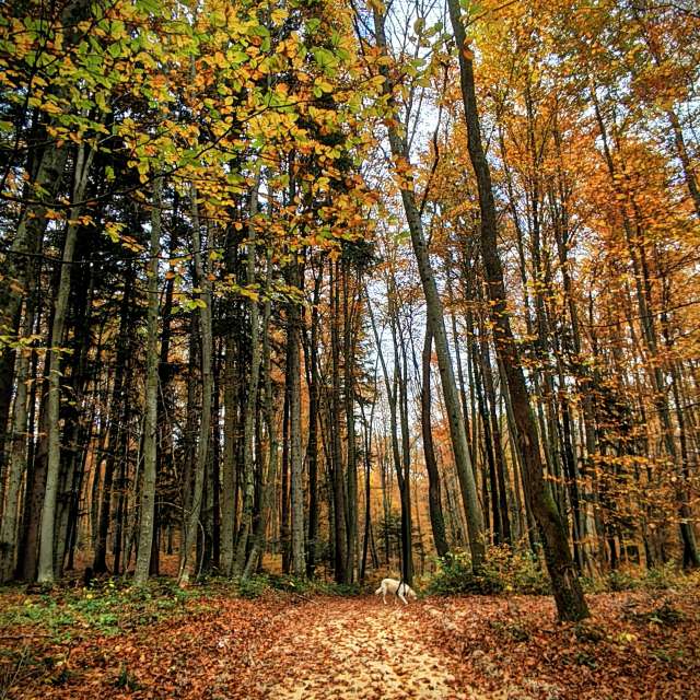 Weather forecasts with beautiful photos by Anamarija