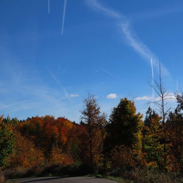 天气预报，带Sviatoslav精美的照片