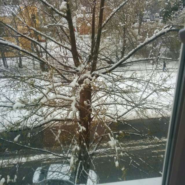 天气预报，带Tatyana Averkova精美的照片