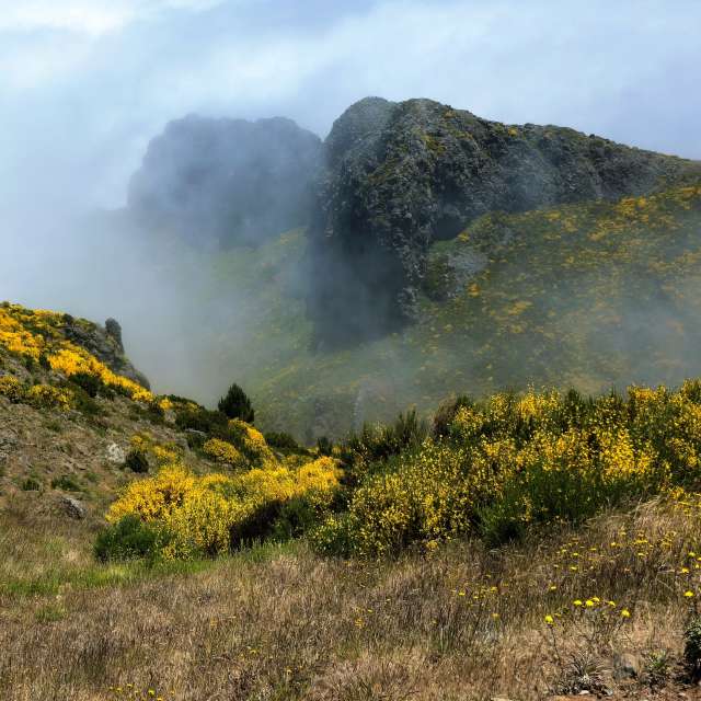 Prévisions météo avec de superbes photos de MR