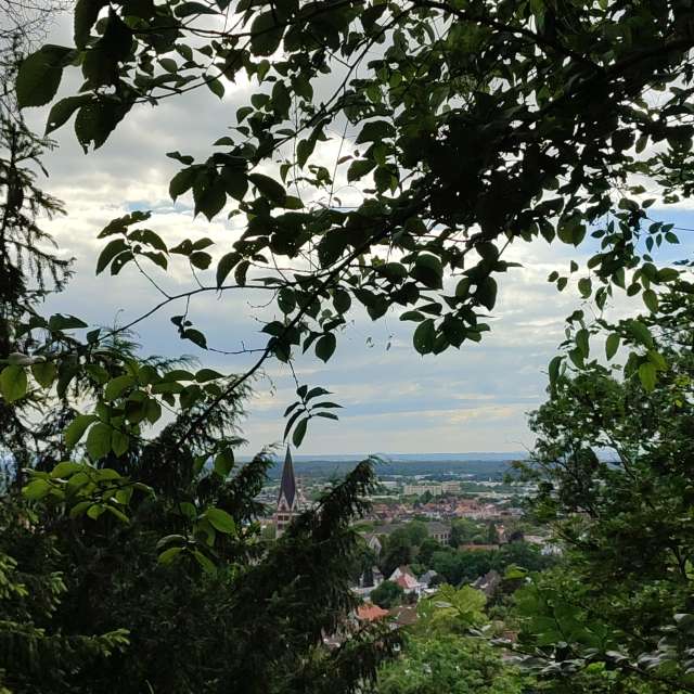 Walking. Weather forecasts with beautiful photos by Tercis Photos in Ettlingen