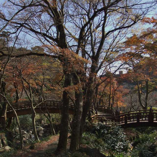 Large. Weather forecasts with beautiful photos by umemui Photos in Atami