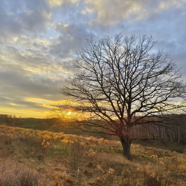 世界的天气照片. 天气预报，带Aleksei精美的照片