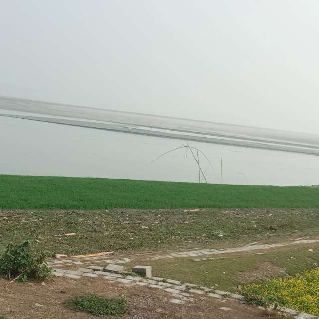 天气预报，带MD Shawkat Ali Khan精美的照片