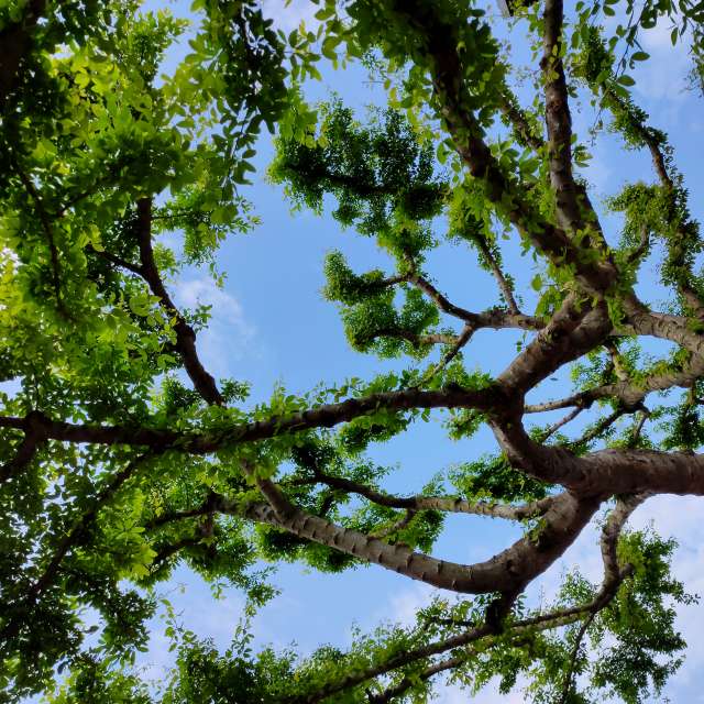 Weather forecasts with beautiful photos by Yoya2