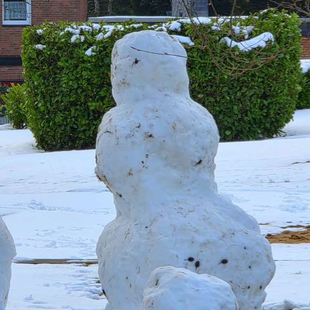 Polar. Weather forecasts with beautiful photos by Seni Photos in World