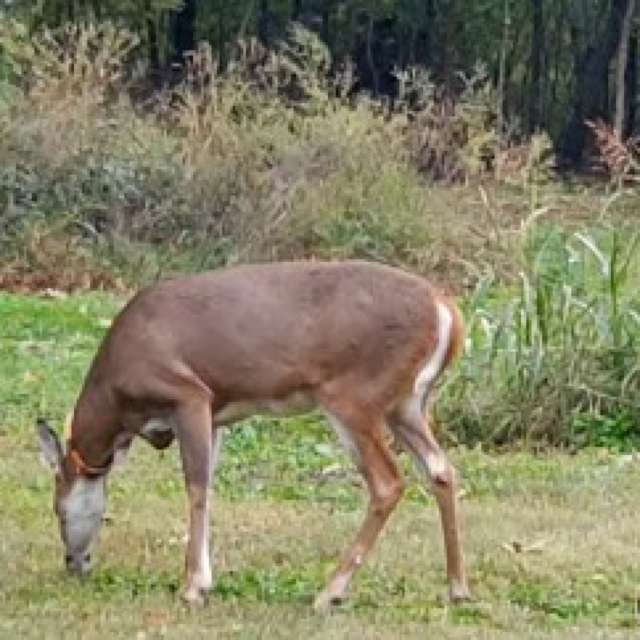 天气预报，带LeeannePr71精美的照片