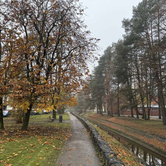 Weather forecasts with beautiful photos by Svet-Lana