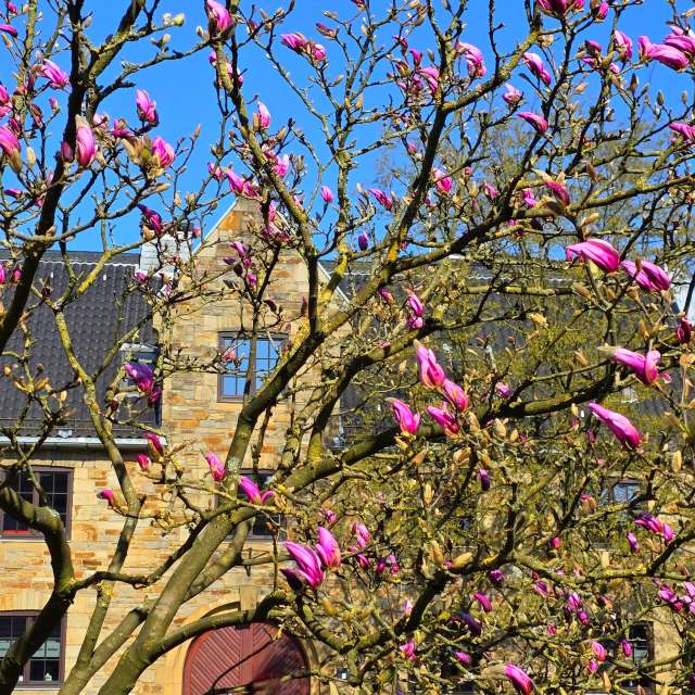 Tower. Weather forecasts with beautiful photos by Seni Photos in Velbert