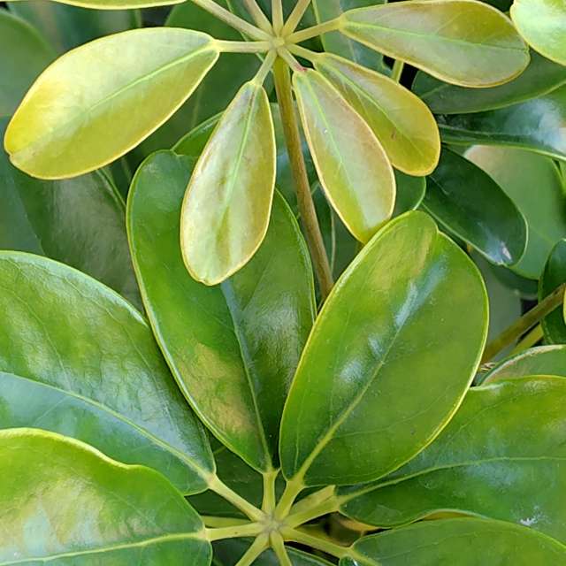 Weather forecasts with beautiful photos by umemui