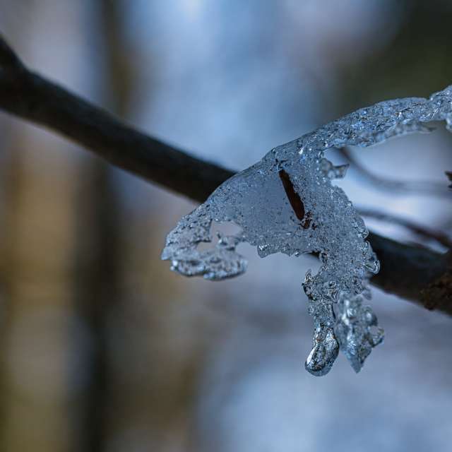 Weather forecasts with beautiful photos by martinm611