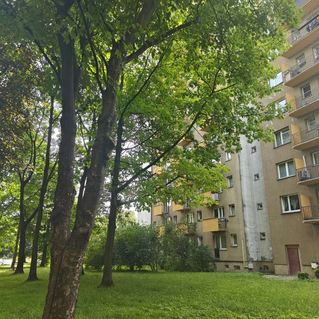 Fotos del Herboso. Pronósticos del tiempo con hermosas fotos de zjabri en Cracovia