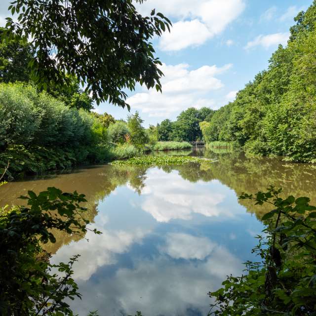Prévisions météo avec de superbes photos de Wonderman