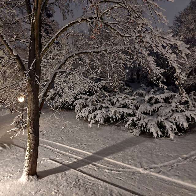 Fotos do tempo em Mundo. Previsões do tempo com lindas fotos de Oleg1961