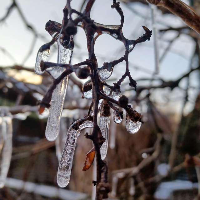 Прогнозы погоды с чудесными фотографиями, сделанными Hikey