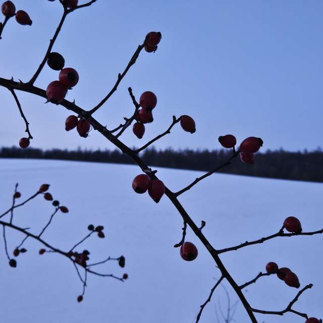 Gegenwehrの美しい写真による天気予報
