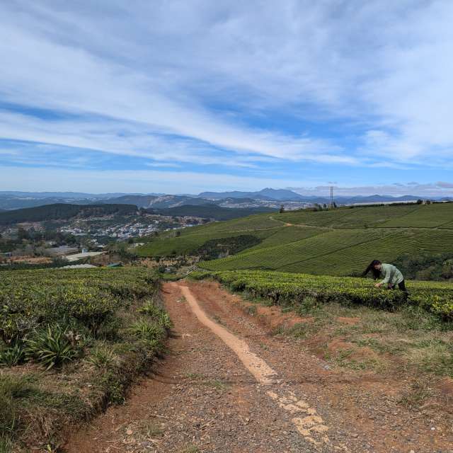 Pronósticos del tiempo con hermosas fotos de Vladislav Far East