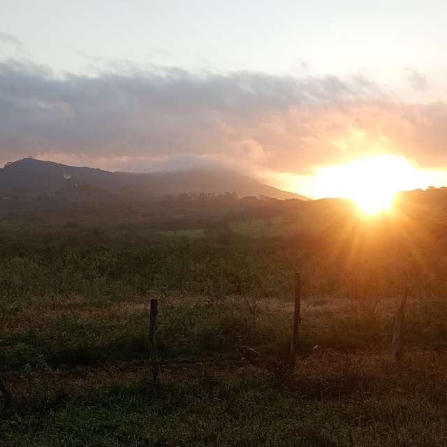 Pasture. Weather forecasts with beautiful photos by Almir Cavalcante Photos in World