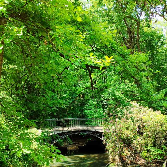 Weather Photos in World. Weather forecasts with beautiful photos by Romek58