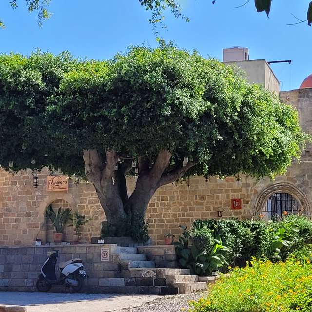 Pronósticos del tiempo con hermosas fotos de Servpage