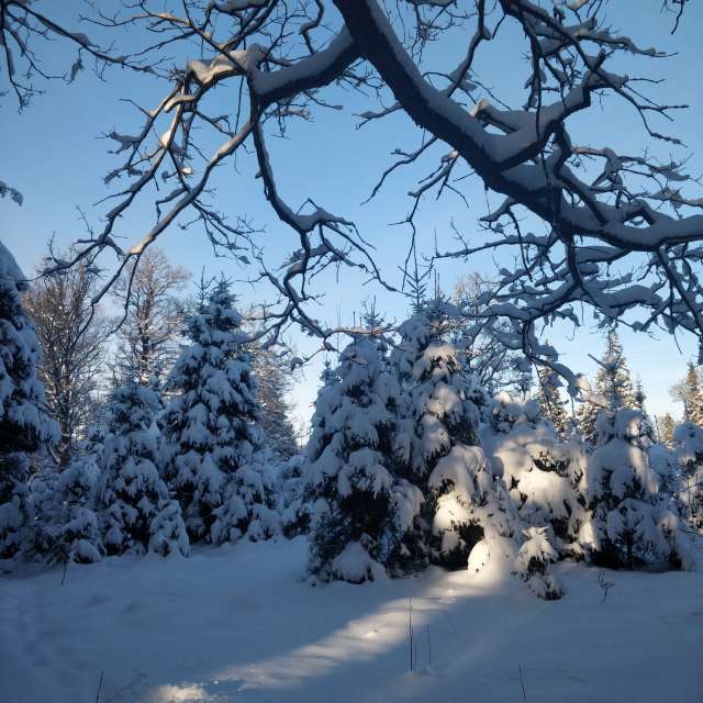 Photos Grand. Prévisions météo avec de superbes photos de Pavell de Vladimirskaya Oblast'