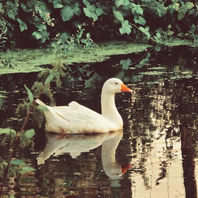 Pronósticos del tiempo con hermosas fotos de TylerDurden