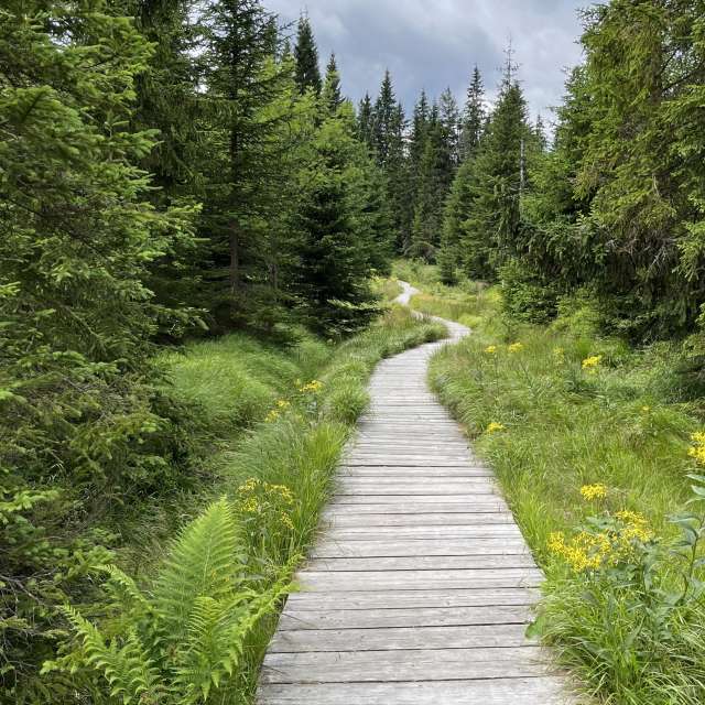 Jan95の美しい写真による天気予報