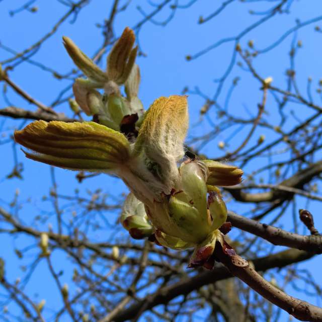 Fotos Azul. Previsões do tempo com lindas fotos de Михаил Бондаренко em Pionerskiy