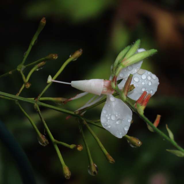 Weather forecasts with beautiful photos by Step_Gently