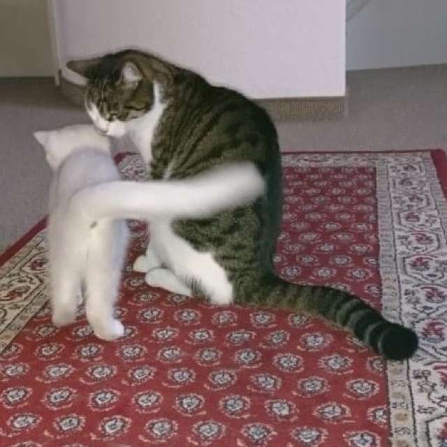 Weather forecasts with beautiful photos by aida-khaldi