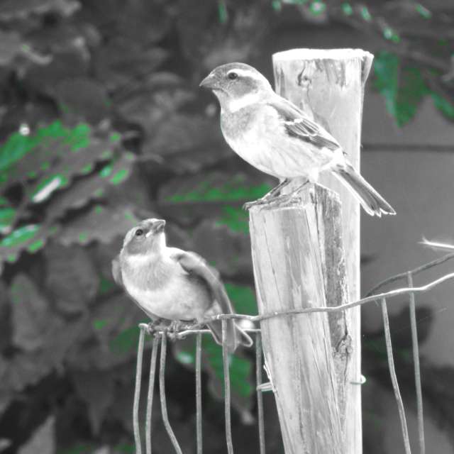 天气预报，带Step_Gently精美的照片